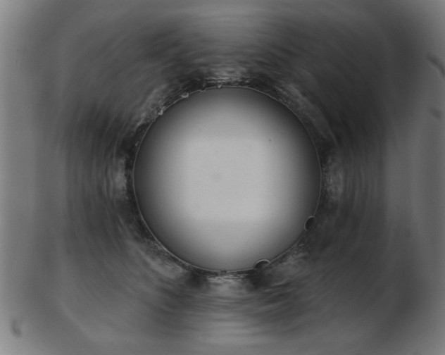 X0000103420516200809121310