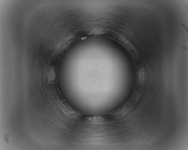 X0000103420517200809121310