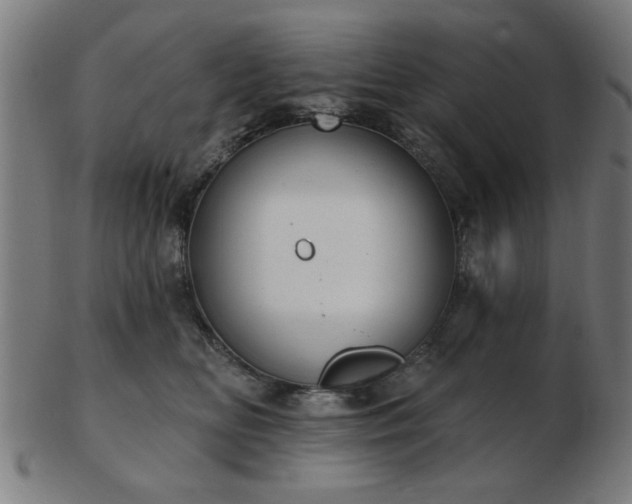 X0000103420518200809121310