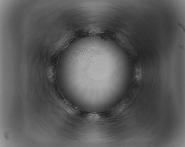 X0000103420519200809121310