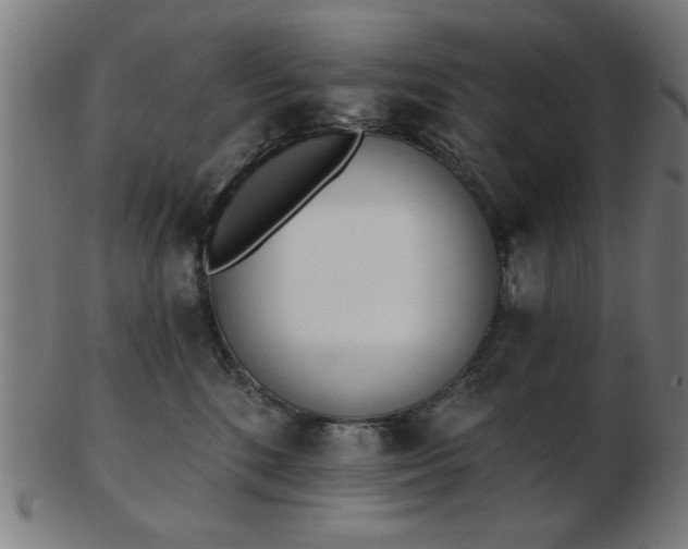 X0000103420520200809121310