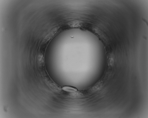 X0000103420521200809121310