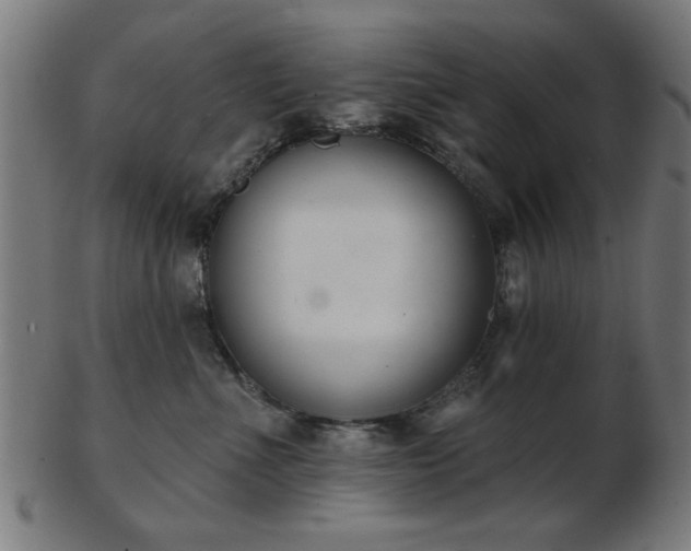X0000103420523200809121310