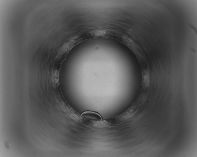 X0000103420525200809121310