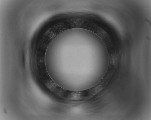 X0000103420526200809121310