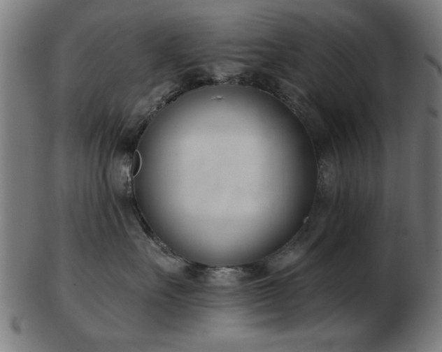 X0000103420527200809121310