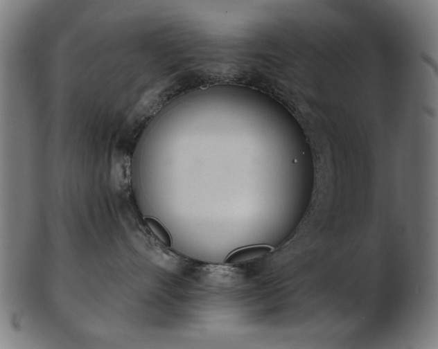 X0000103420528200809121310