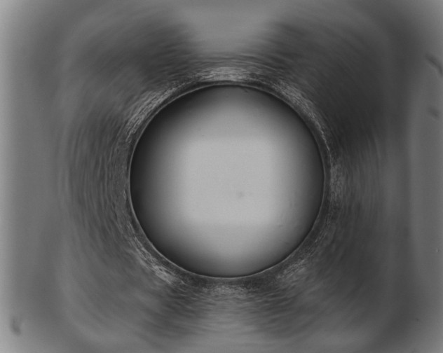 X0000103420529200809121309