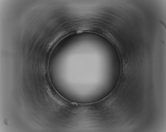 X0000103420530200809121309