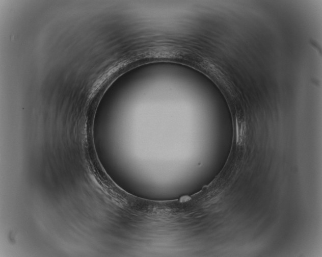X0000103420531200809121309