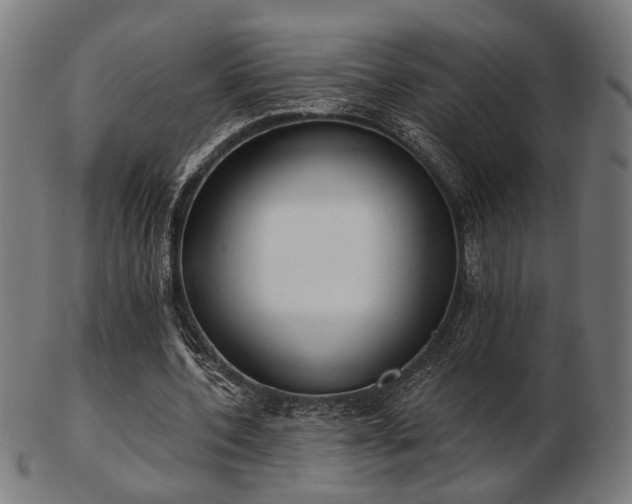 X0000103420532200809121309