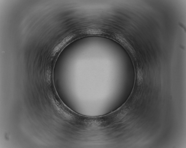 X0000103420533200809121309