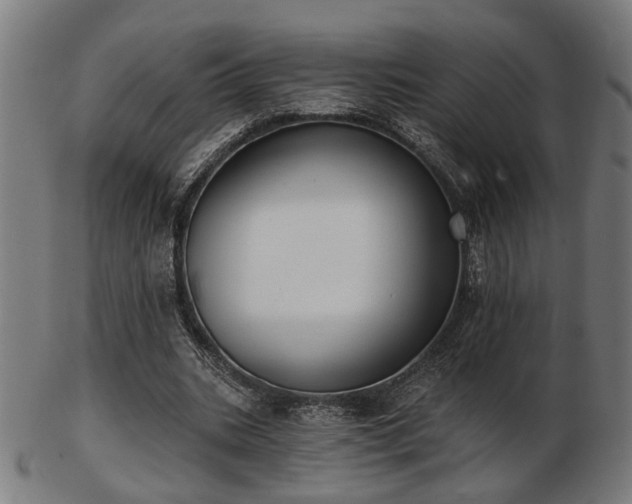 X0000103420535200809121309