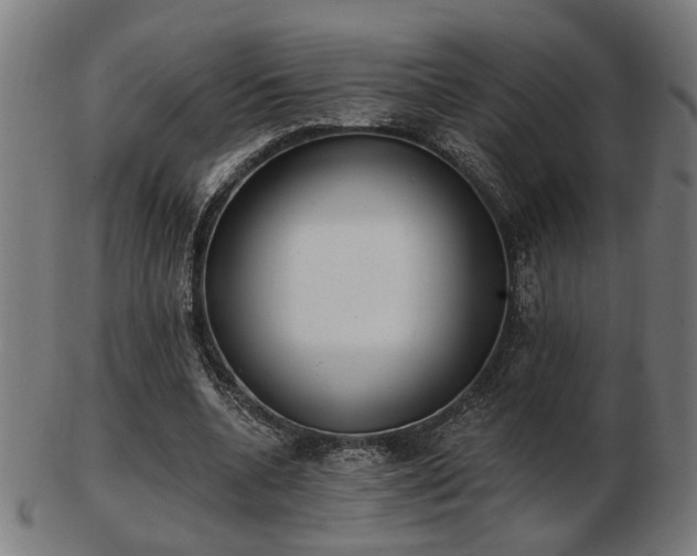 X0000103420536200809121309