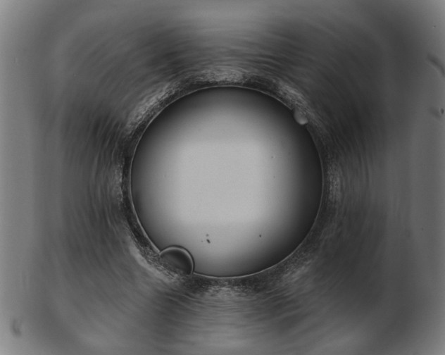 X0000103420538200809121309
