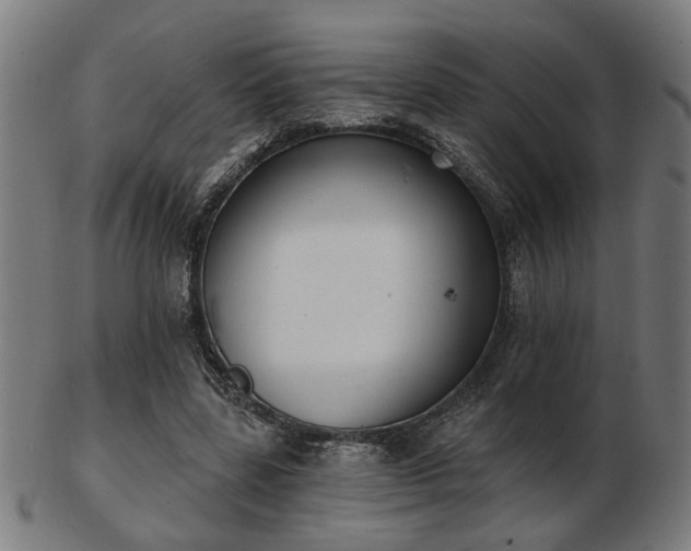 X0000103420539200809121309