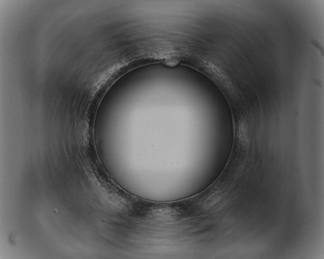 X0000103420540200809121309