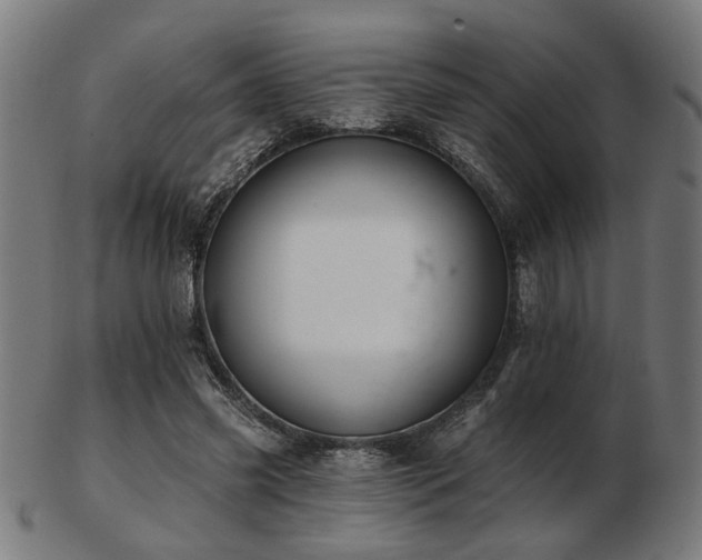 X0000103420541200809121309