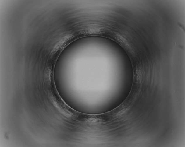 X0000103420542200809121309