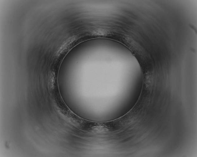 X0000103420544200809121309