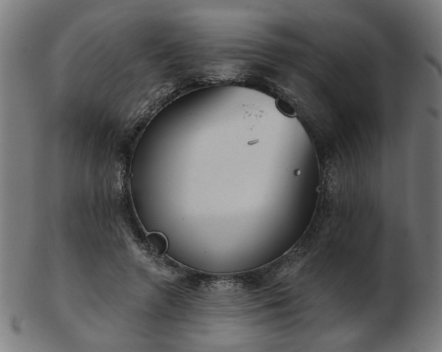 X0000103420546200809121309