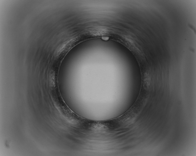 X0000103420547200809121309