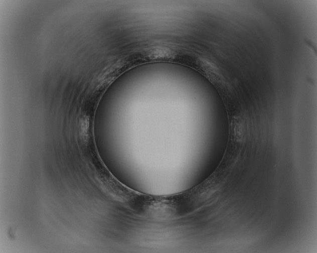 X0000103420550200809121309