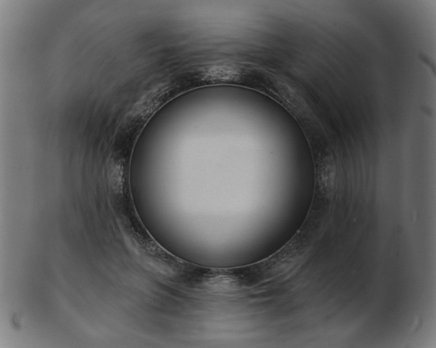 X0000103420551200809121309