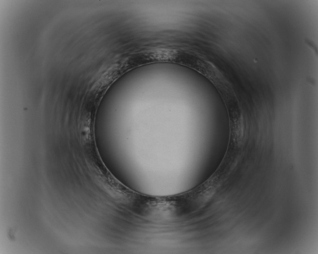 X0000103420553200809121309