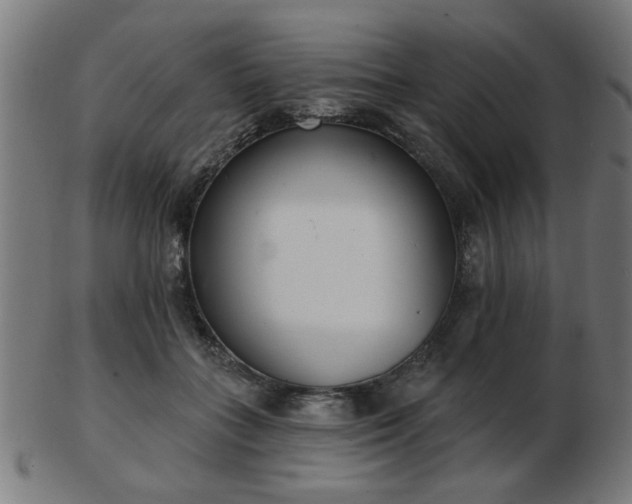 X0000103420555200809121309