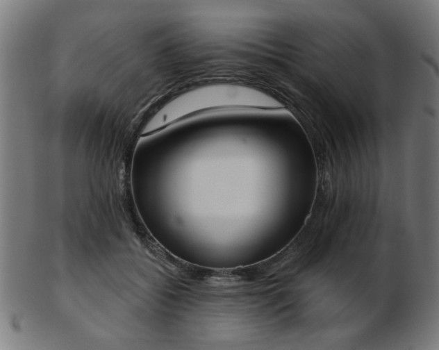X0000103420556200809121309