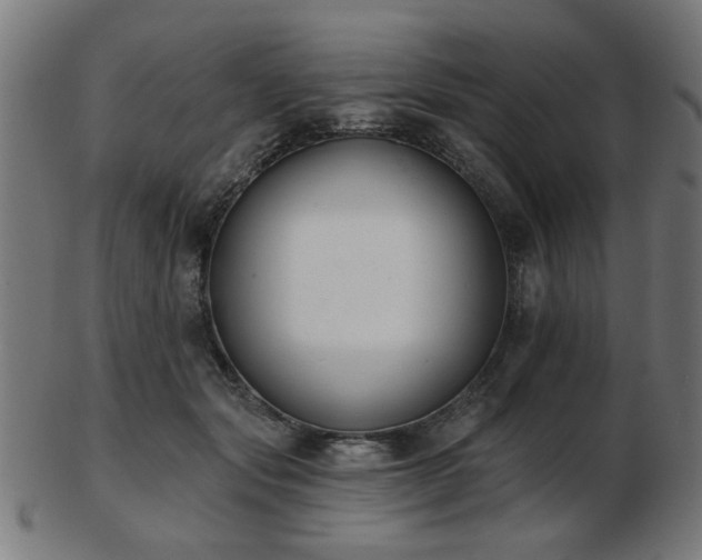 X0000103420557200809121309