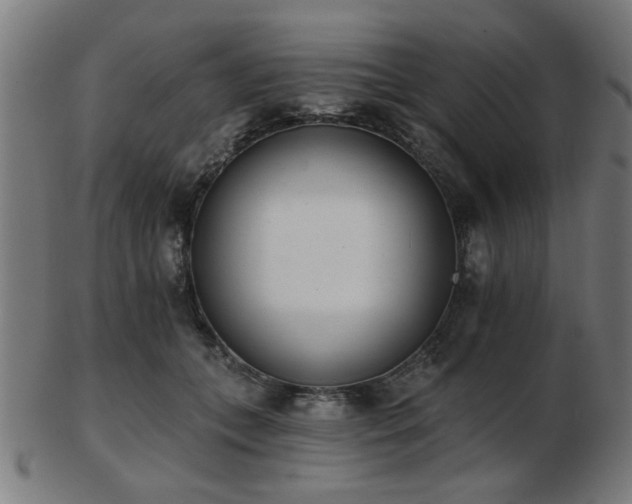 X0000103420559200809121309
