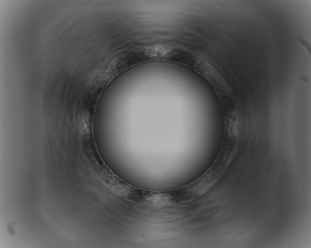 X0000103420561200809121310