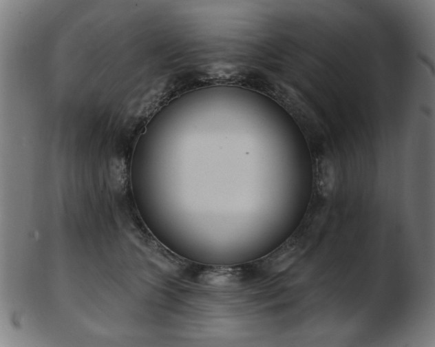 X0000103420563200809121310