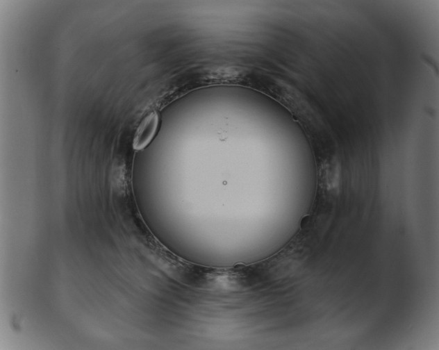 X0000103420564200809121310