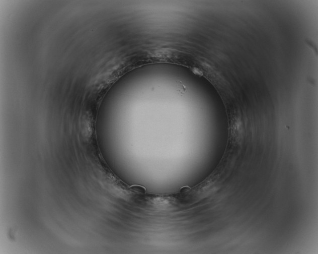 X0000103420566200809121310