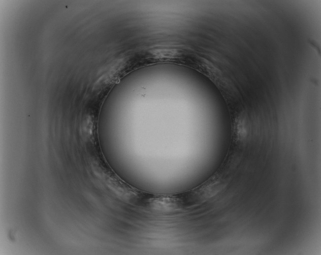 X0000103420567200809121310