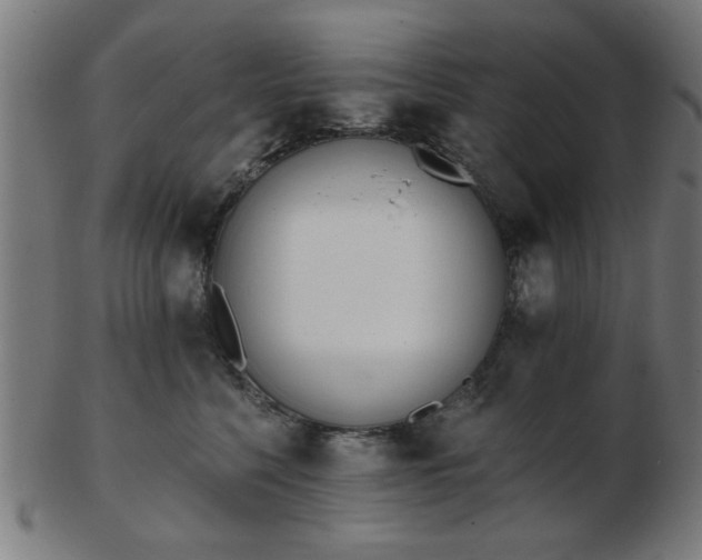 X0000103420568200809121310