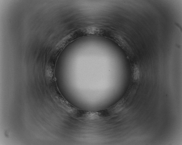 X0000103420569200809121310