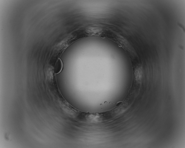 X0000103420570200809121310
