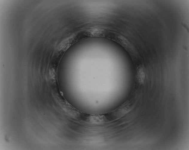 X0000103420571200809121310