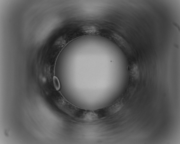 X0000103420572200809121310