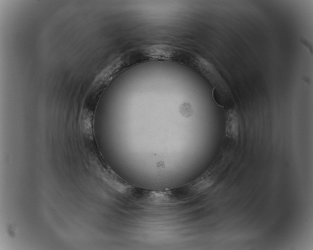 X0000103420573200809121310