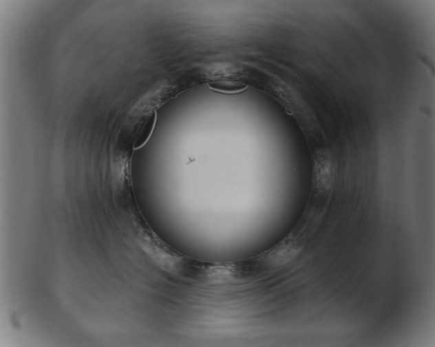 X0000103420574200809121310