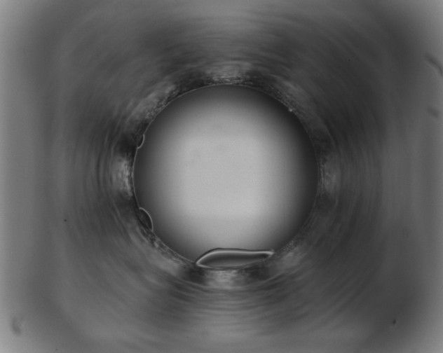 X0000103420575200809121310