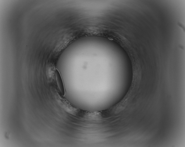 X0000103420576200809121310