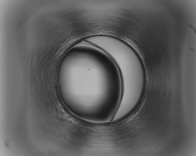 X0000103420577200809121309