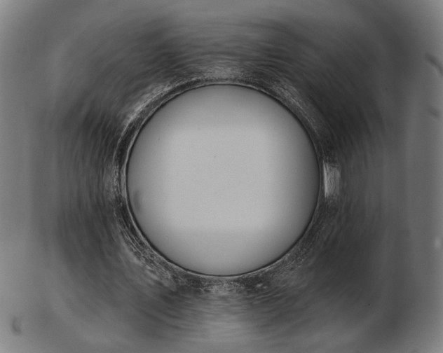X0000103420579200809121309