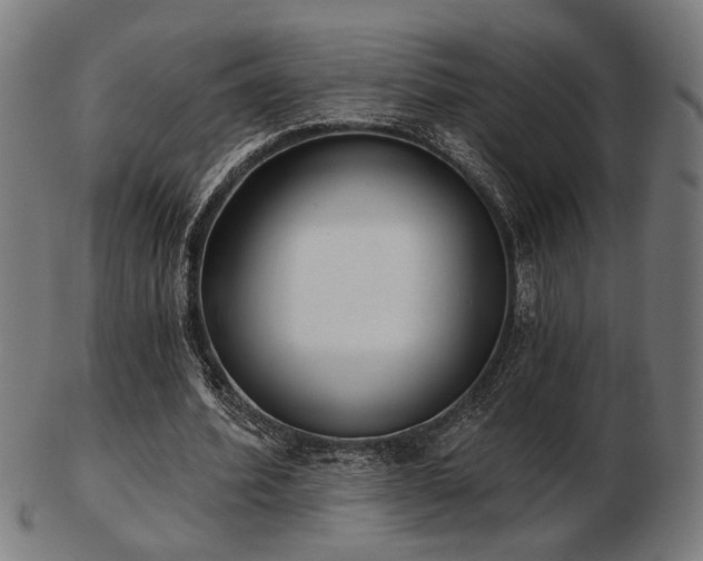 X0000103420580200809121309